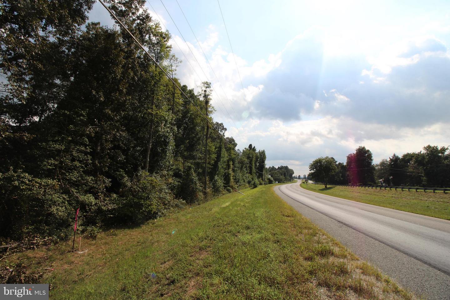 JAMES MADISON PKWY, KING GEORGE, Virginia 22485, ,Land,For sale,JAMES MADISON PKWY,VAKG2007538 MLS # VAKG2007538