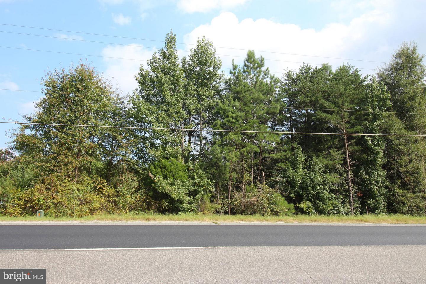 JAMES MADISON PKWY, KING GEORGE, Virginia 22485, ,Land,For sale,JAMES MADISON PKWY,VAKG2007538 MLS # VAKG2007538