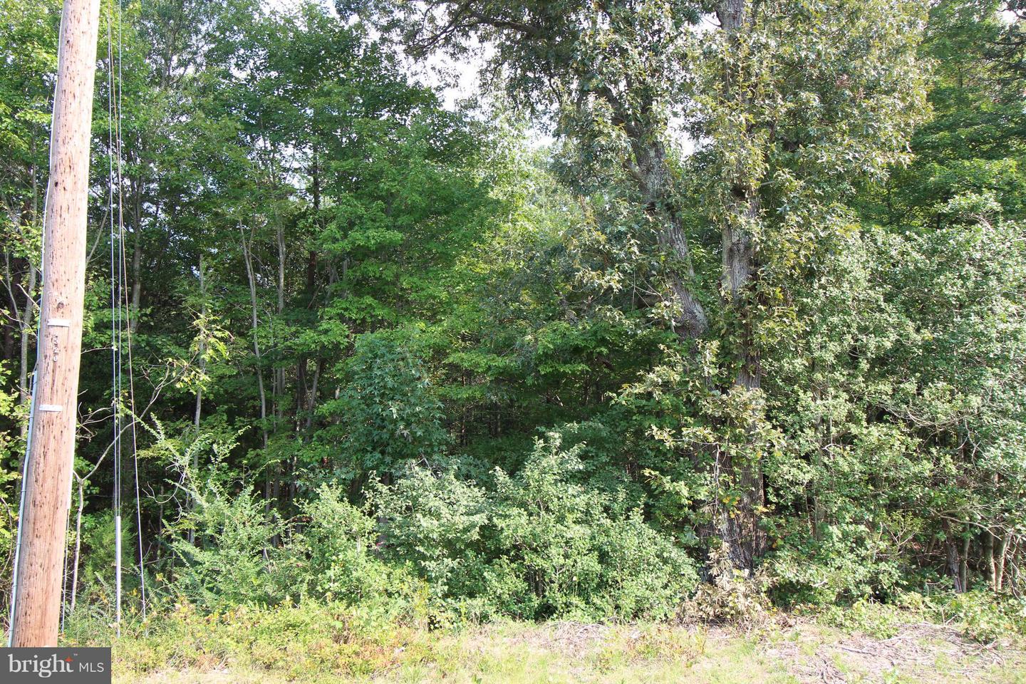 JAMES MADISON PKWY, KING GEORGE, Virginia 22485, ,Land,For sale,JAMES MADISON PKWY,VAKG2007538 MLS # VAKG2007538