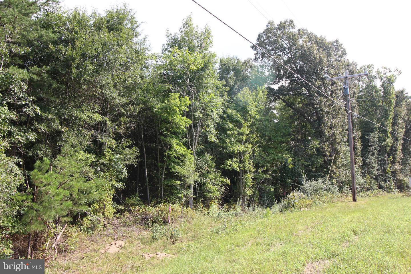 JAMES MADISON PKWY, KING GEORGE, Virginia 22485, ,Land,For sale,JAMES MADISON PKWY,VAKG2007538 MLS # VAKG2007538