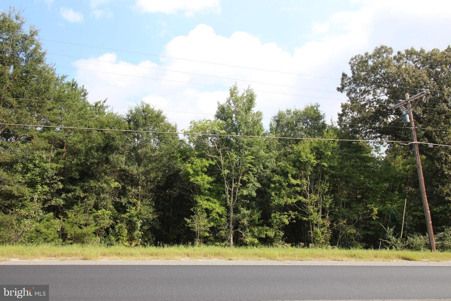 JAMES MADISON PKWY, KING GEORGE, Virginia 22485, ,Land,For sale,JAMES MADISON PKWY,VAKG2007538 MLS # VAKG2007538