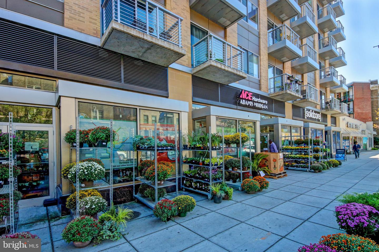 1674 IRVING ST NW, WASHINGTON, District Of Columbia 20010, 6 Bedrooms Bedrooms, ,6 BathroomsBathrooms,Residential,For sale,1674 IRVING ST NW,DCDC2243054 MLS # DCDC2243054