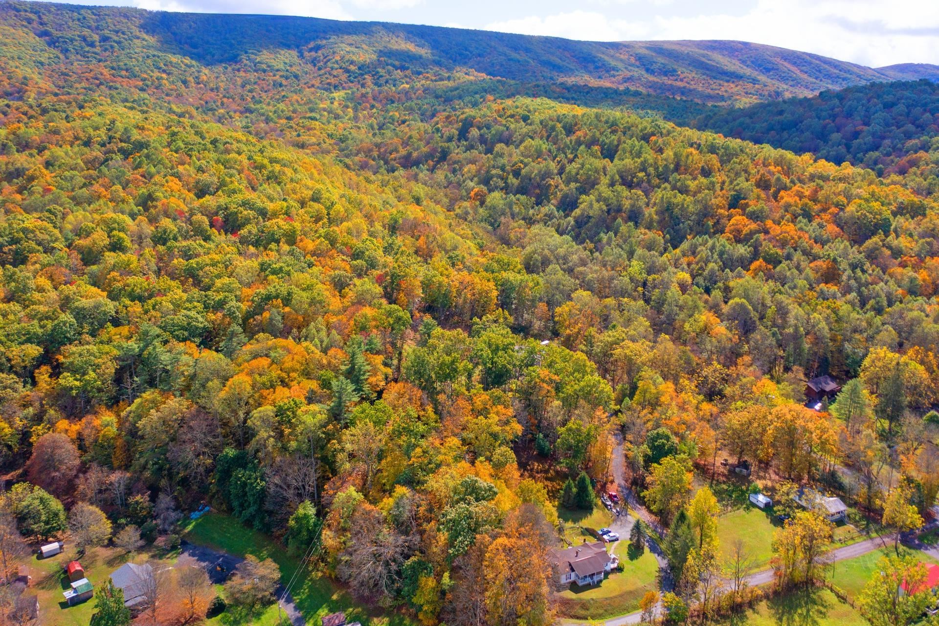 65 CUBBLEY RD, HOT SPRINGS, Virginia 24445, 3 Bedrooms Bedrooms, ,2 BathroomsBathrooms,Residential,65 CUBBLEY RD,669973 MLS # 669973 65 CUBBLEY RD, HOT SPRINGS, Virginia 24445, 3 Bedrooms Bedrooms, ,2 BathroomsBathrooms,Residential,65 CUBBLEY RD,669973 MLS # 669973