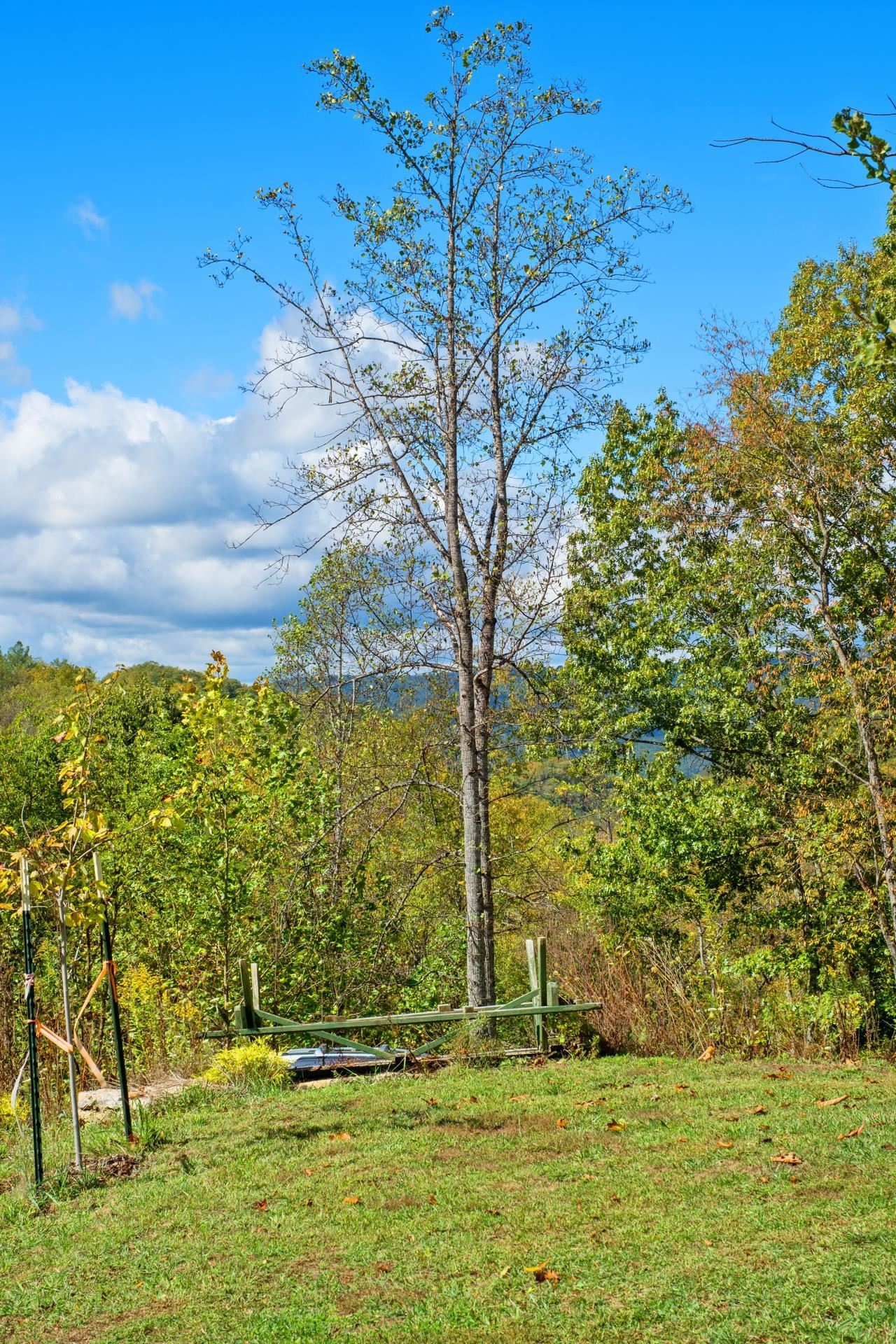 65 CUBBLEY RD, HOT SPRINGS, Virginia 24445, 3 Bedrooms Bedrooms, ,2 BathroomsBathrooms,Residential,65 CUBBLEY RD,669973 MLS # 669973 65 CUBBLEY RD, HOT SPRINGS, Virginia 24445, 3 Bedrooms Bedrooms, ,2 BathroomsBathrooms,Residential,65 CUBBLEY RD,669973 MLS # 669973