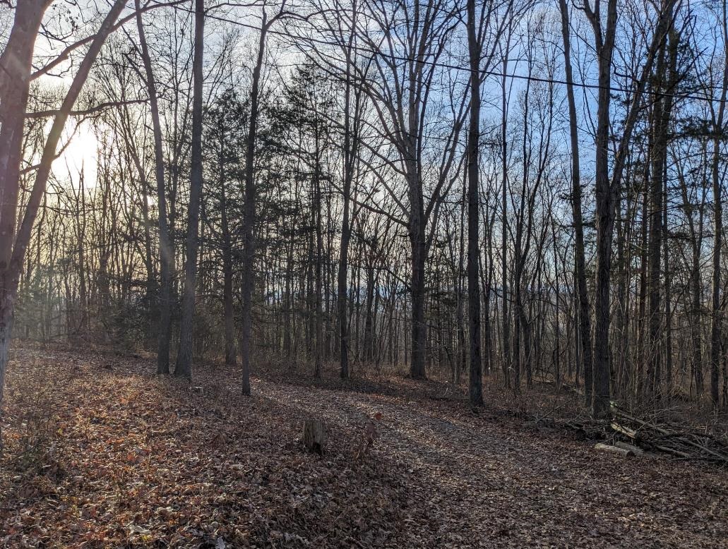 482 BLUE SMOKE LN, NEW MARKET, Virginia 22844, 2 Bedrooms Bedrooms, ,1 BathroomBathrooms,Residential,482 BLUE SMOKE LN,672799 MLS # 672799