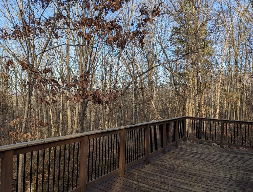 482 BLUE SMOKE LN, NEW MARKET, Virginia 22844, 2 Bedrooms Bedrooms, ,1 BathroomBathrooms,Residential,482 BLUE SMOKE LN,672799 MLS # 672799