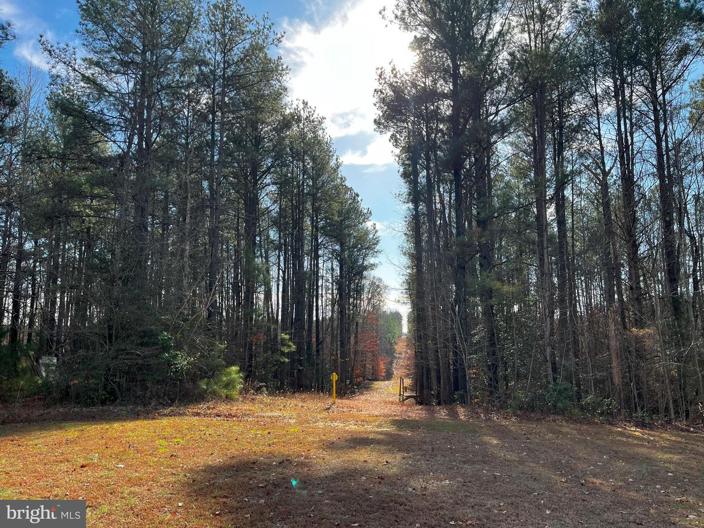 0B MCKENNEY DR, WOODFORD, Virginia 22580, ,Land,For sale,0B MCKENNEY DR,VACV2007180 MLS # VACV2007180 0B MCKENNEY DR, WOODFORD, Virginia 22580, ,Land,For sale,0B MCKENNEY DR,VACV2007180 MLS # VACV2007180