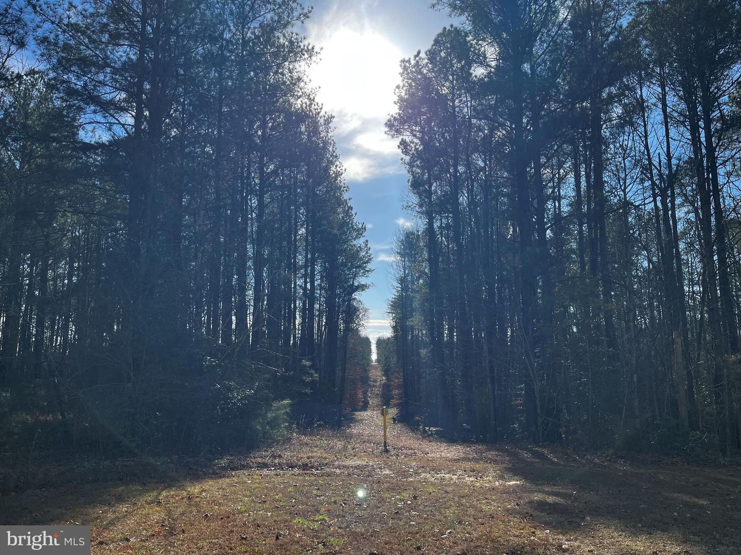 0B MCKENNEY DR, WOODFORD, Virginia 22580, ,Land,For sale,0B MCKENNEY DR,VACV2007180 MLS # VACV2007180 0B MCKENNEY DR, WOODFORD, Virginia 22580, ,Land,For sale,0B MCKENNEY DR,VACV2007180 MLS # VACV2007180