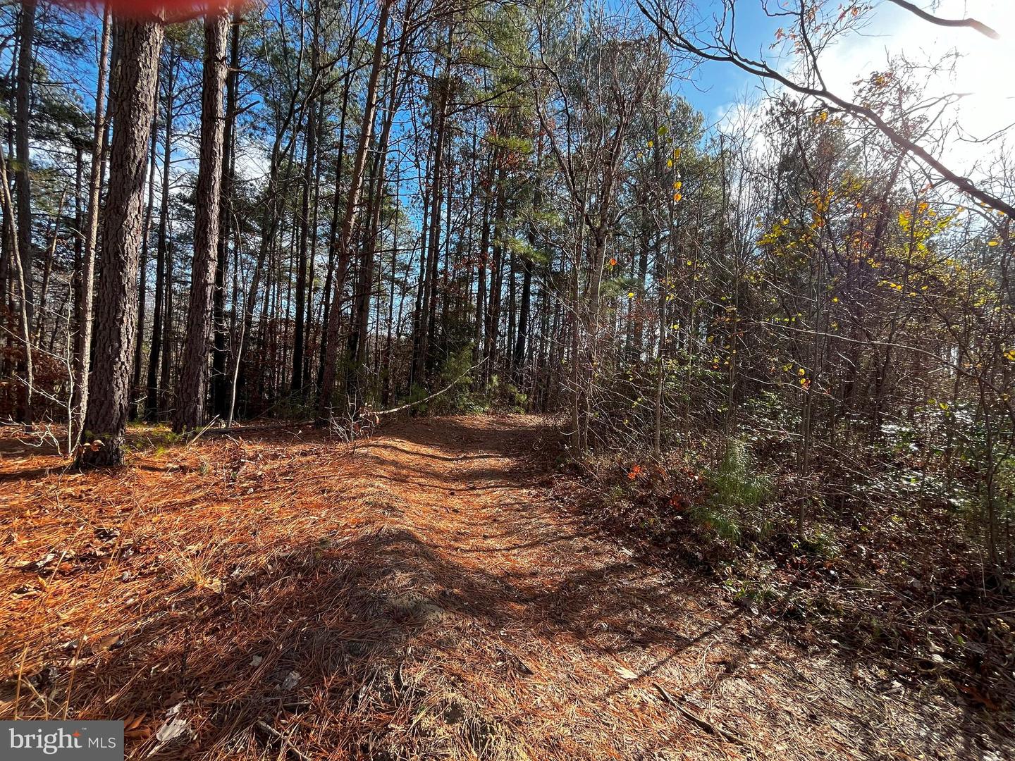 0B MCKENNEY DR, WOODFORD, Virginia 22580, ,Land,For sale,0B MCKENNEY DR,VACV2007180 MLS # VACV2007180 0B MCKENNEY DR, WOODFORD, Virginia 22580, ,Land,For sale,0B MCKENNEY DR,VACV2007180 MLS # VACV2007180