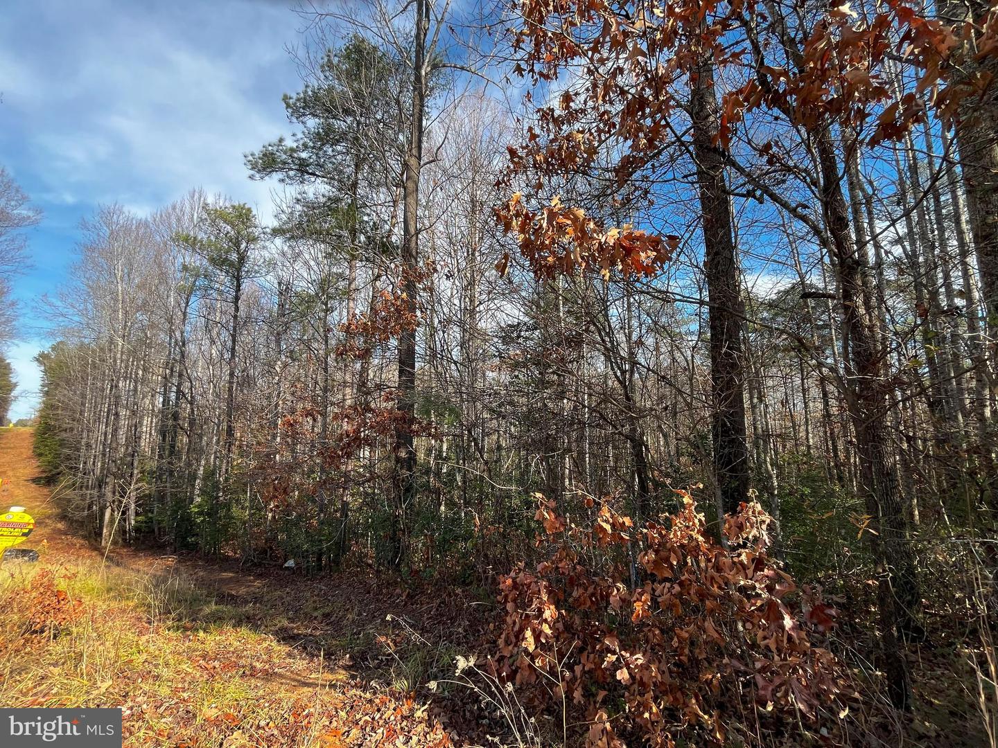 0B MCKENNEY DR, WOODFORD, Virginia 22580, ,Land,For sale,0B MCKENNEY DR,VACV2007180 MLS # VACV2007180 0B MCKENNEY DR, WOODFORD, Virginia 22580, ,Land,For sale,0B MCKENNEY DR,VACV2007180 MLS # VACV2007180