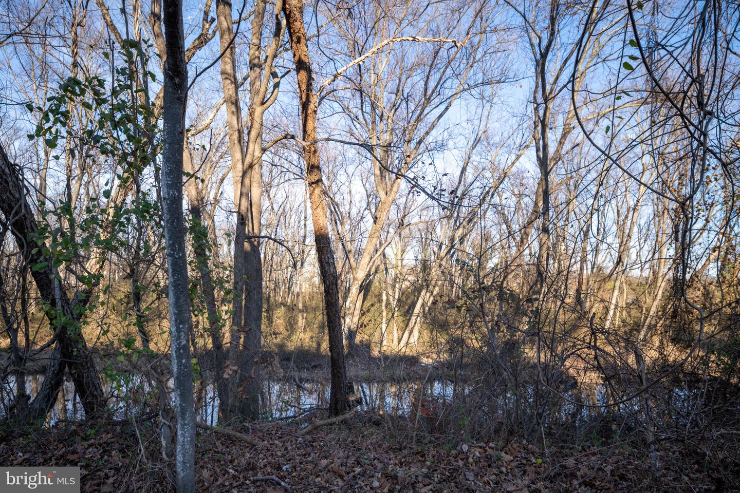 3681 DAHLGREN PL, DUMFRIES, Virginia 22026, 3 Bedrooms Bedrooms, 10 Rooms Rooms,2 BathroomsBathrooms,Residential,For sale,3681 DAHLGREN PL,VAPW2110808 MLS # VAPW2110808