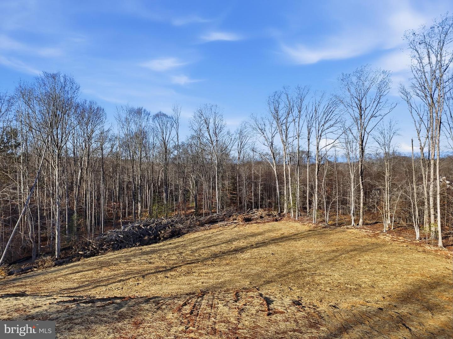 LOT 20 RAPIDAN FARMS DRIVE, LIGNUM, Virginia 22726, ,Land,For sale,LOT 20 RAPIDAN FARMS DRIVE,VACU2011990 MLS # VACU2011990 LOT 20 RAPIDAN FARMS DRIVE, LIGNUM, Virginia 22726, ,Land,For sale,LOT 20 RAPIDAN FARMS DRIVE,VACU2011990 MLS # VACU2011990