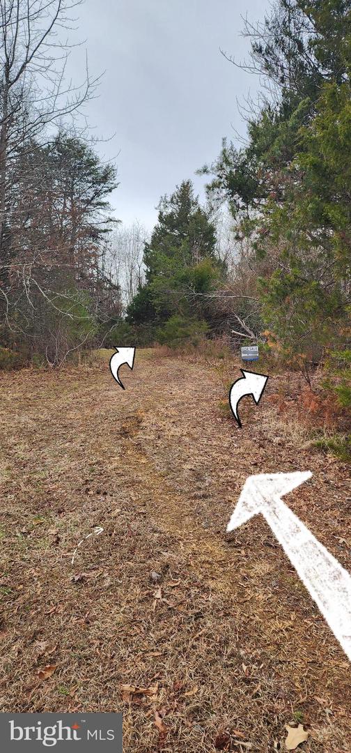 1064 HUNTERS LODGE RD, TROY, Virginia 22974, ,Land,For sale,1064 HUNTERS LODGE RD,VAFN2000618 MLS # VAFN2000618