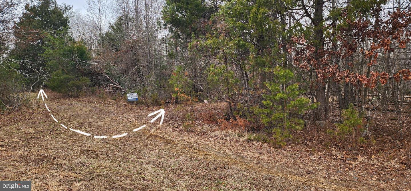 1064 HUNTERS LODGE RD, TROY, Virginia 22974, ,Land,For sale,1064 HUNTERS LODGE RD,VAFN2000618 MLS # VAFN2000618