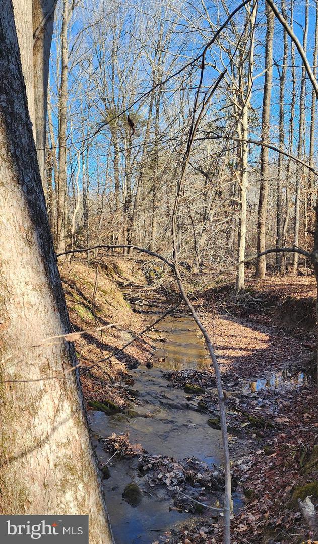 1064 HUNTERS LODGE RD, TROY, Virginia 22974, ,Land,For sale,1064 HUNTERS LODGE RD,VAFN2000618 MLS # VAFN2000618