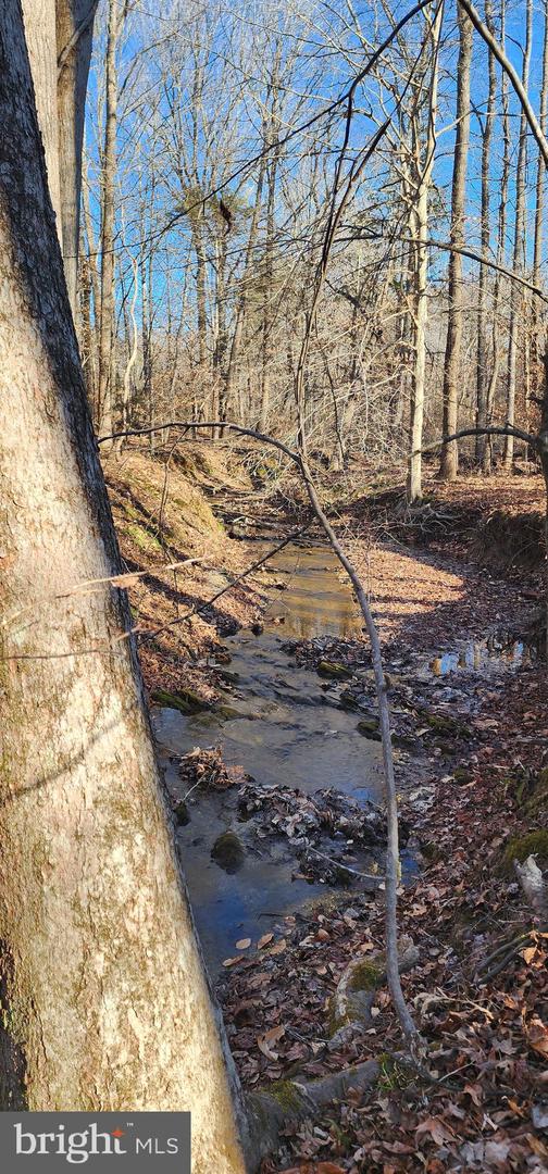 1064 HUNTERS LODGE RD, TROY, Virginia 22974, ,Land,For sale,1064 HUNTERS LODGE RD,VAFN2000618 MLS # VAFN2000618