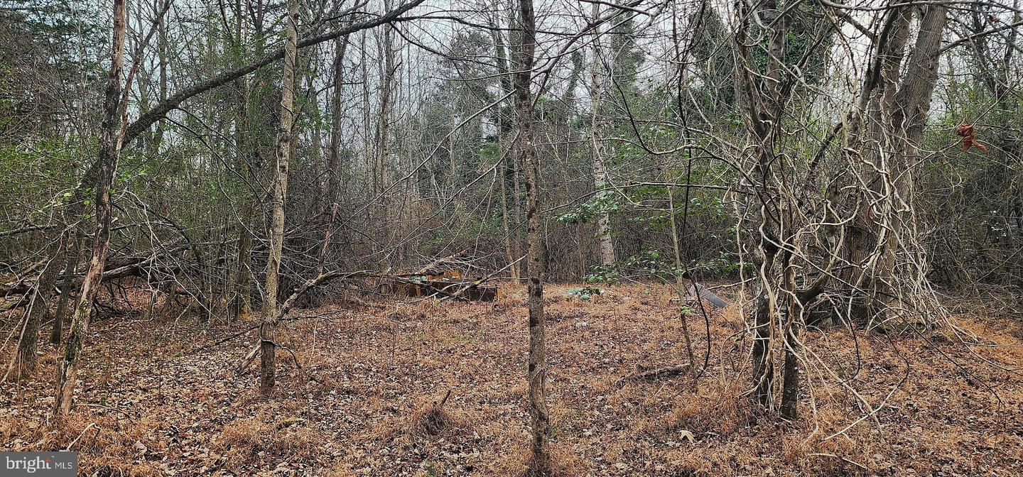 1064 HUNTERS LODGE RD, TROY, Virginia 22974, ,Land,For sale,1064 HUNTERS LODGE RD,VAFN2000618 MLS # VAFN2000618