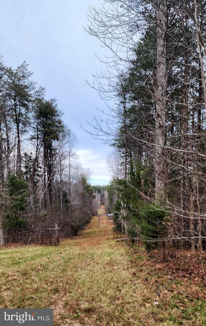 1064 HUNTERS LODGE RD, TROY, Virginia 22974, ,Land,For sale,1064 HUNTERS LODGE RD,VAFN2000618 MLS # VAFN2000618