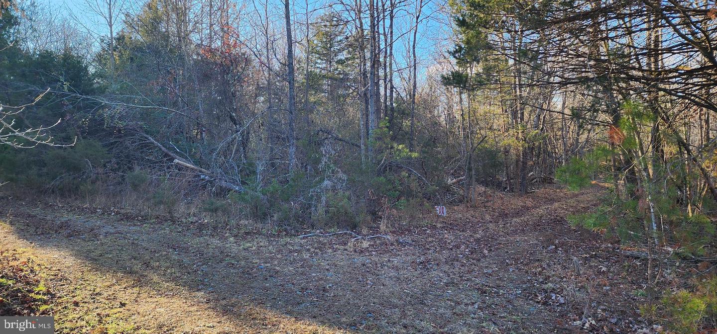 1064 HUNTERS LODGE RD, TROY, Virginia 22974, ,Land,For sale,1064 HUNTERS LODGE RD,VAFN2000618 MLS # VAFN2000618