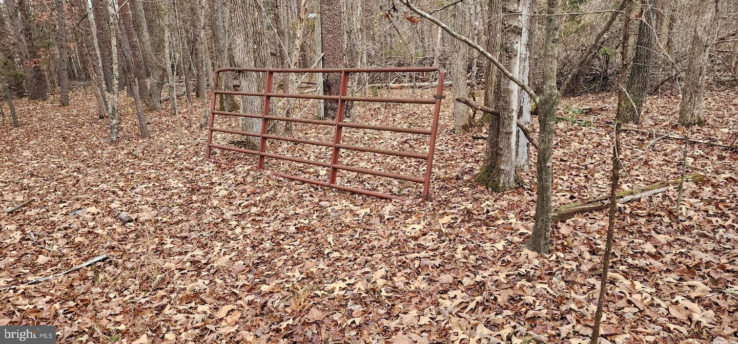 1064 HUNTERS LODGE RD, TROY, Virginia 22974, ,Land,For sale,1064 HUNTERS LODGE RD,VAFN2000618 MLS # VAFN2000618