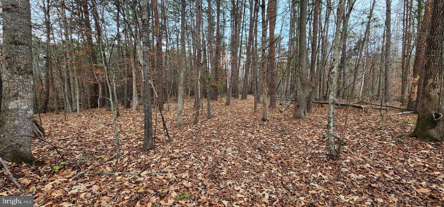 1064 HUNTERS LODGE RD, TROY, Virginia 22974, ,Land,For sale,1064 HUNTERS LODGE RD,VAFN2000618 MLS # VAFN2000618