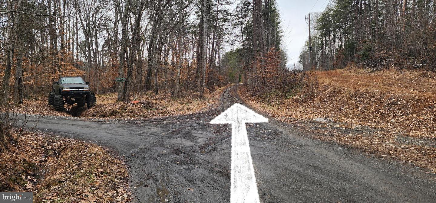 1064 HUNTERS LODGE RD, TROY, Virginia 22974, ,Land,For sale,1064 HUNTERS LODGE RD,VAFN2000618 MLS # VAFN2000618