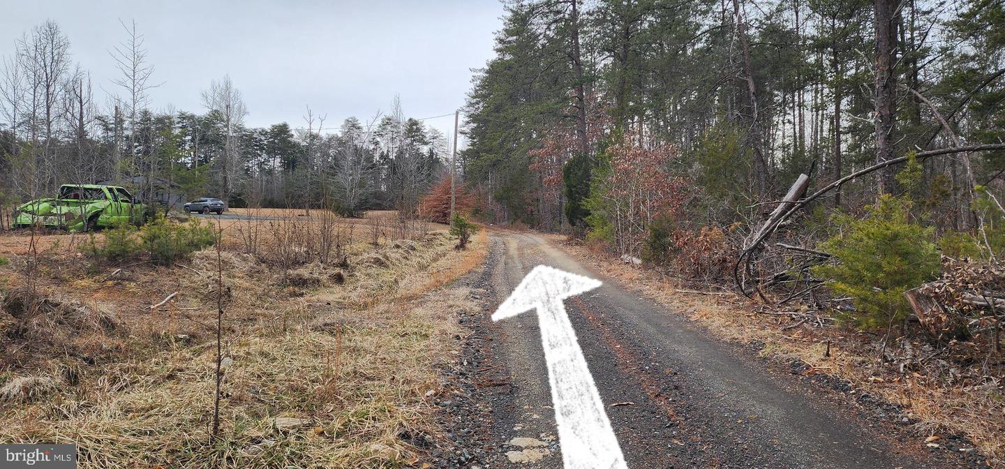 1064 HUNTERS LODGE RD, TROY, Virginia 22974, ,Land,For sale,1064 HUNTERS LODGE RD,VAFN2000618 MLS # VAFN2000618