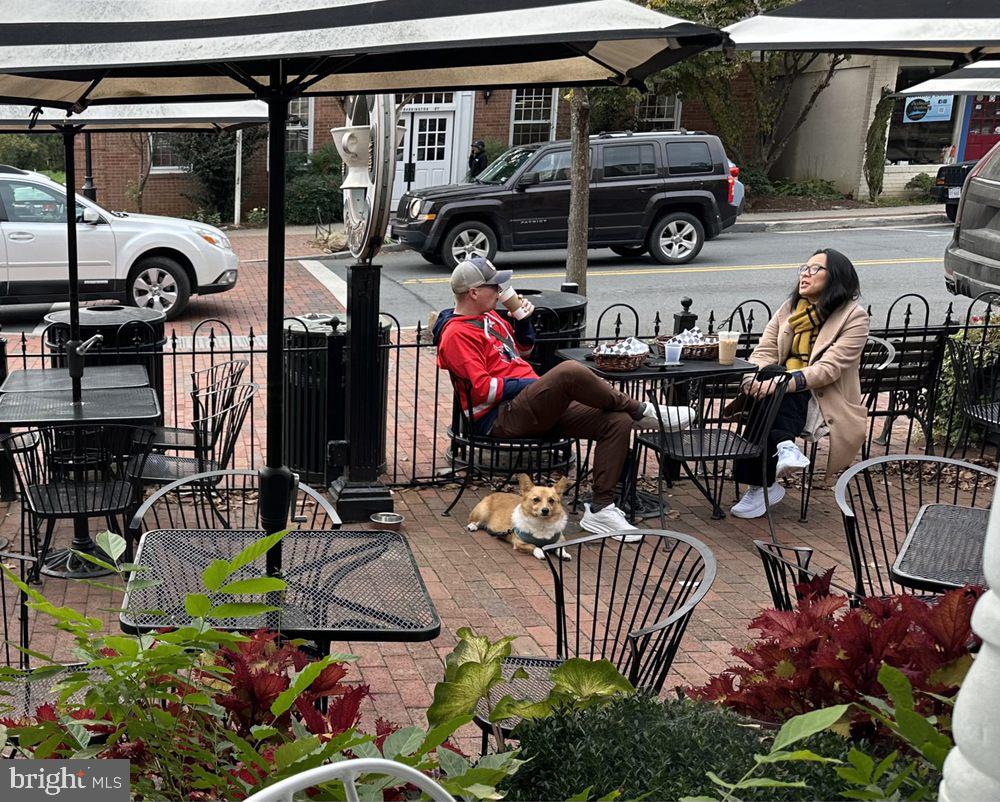 100 FOX RUN TER, MIDDLEBURG, Virginia 20117, 4 Bedrooms Bedrooms, ,4 BathroomsBathrooms,Residential,For sale,100 FOX RUN TER,VALO2114368 MLS # VALO2114368