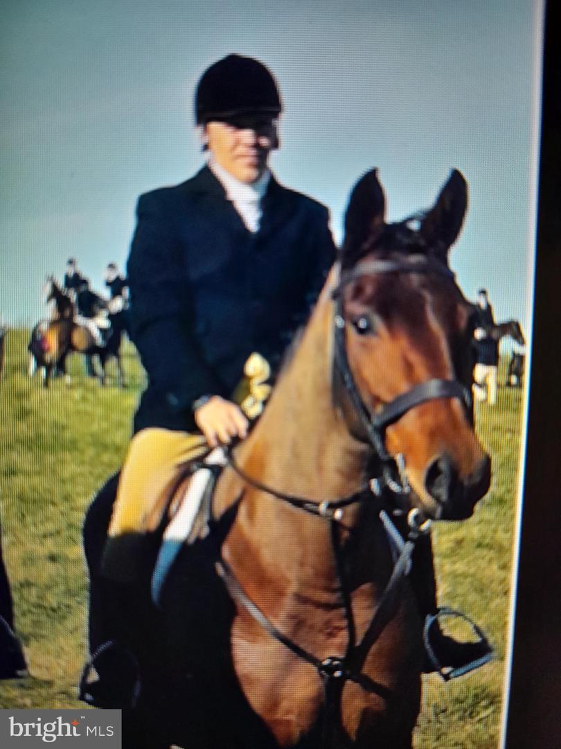 100 FOX RUN TER, MIDDLEBURG, Virginia 20117, 4 Bedrooms Bedrooms, ,4 BathroomsBathrooms,Residential,For sale,100 FOX RUN TER,VALO2114368 MLS # VALO2114368