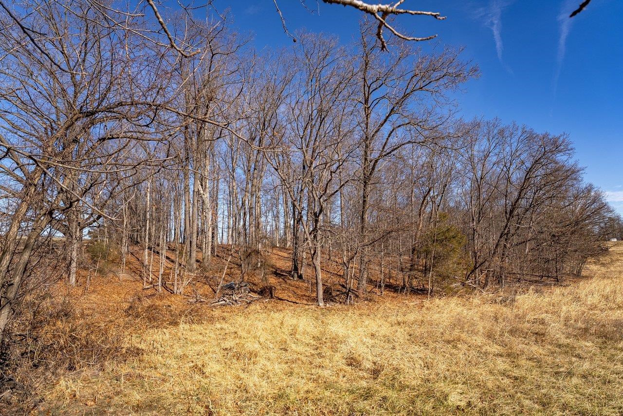 0 SUMMIT CHURCH RD, MOUNT CRAWFORD, Virginia 22841, ,Land,0 SUMMIT CHURCH RD,672835 MLS # 672835