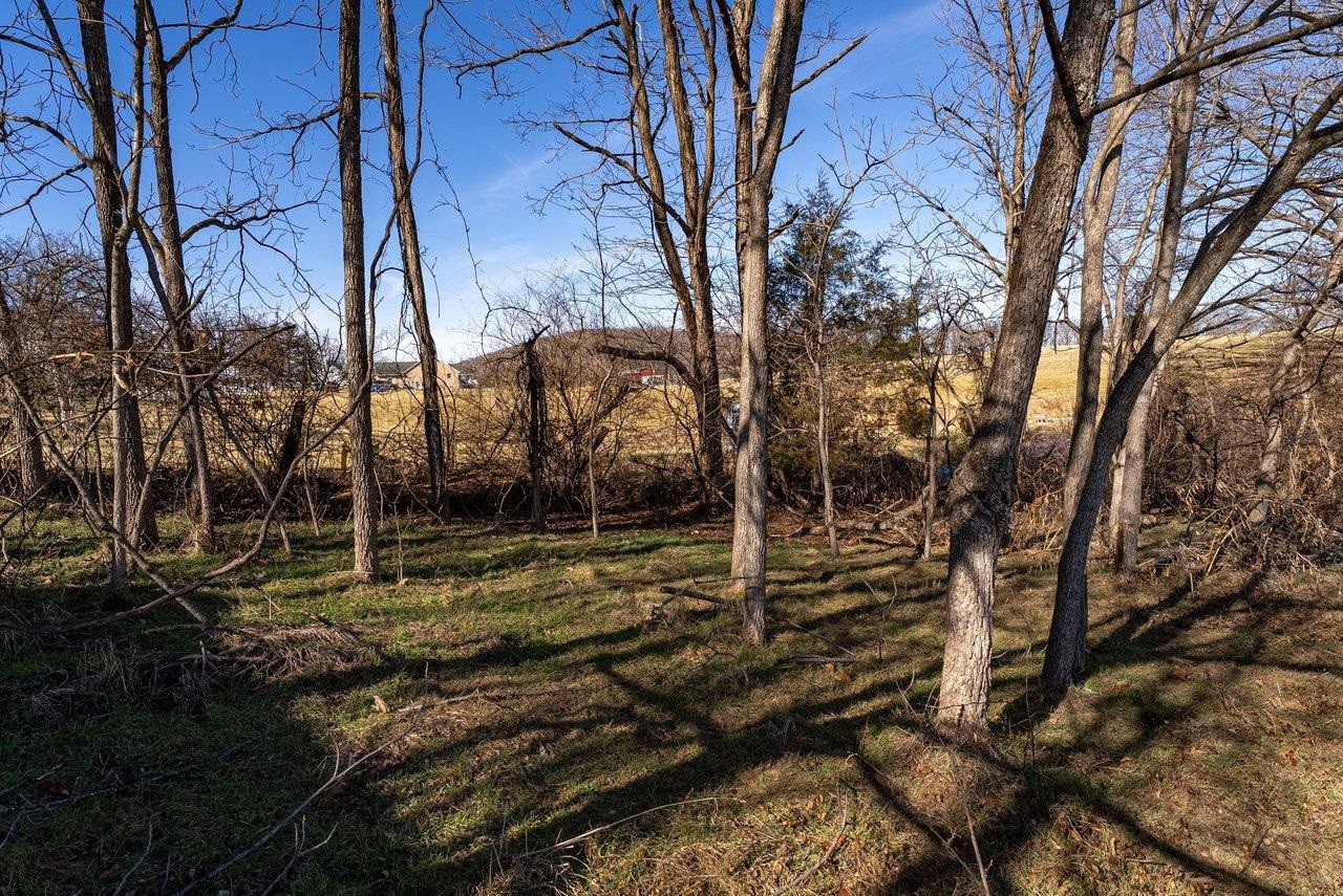 0 SUMMIT CHURCH RD, MOUNT CRAWFORD, Virginia 22841, ,Land,0 SUMMIT CHURCH RD,672835 MLS # 672835