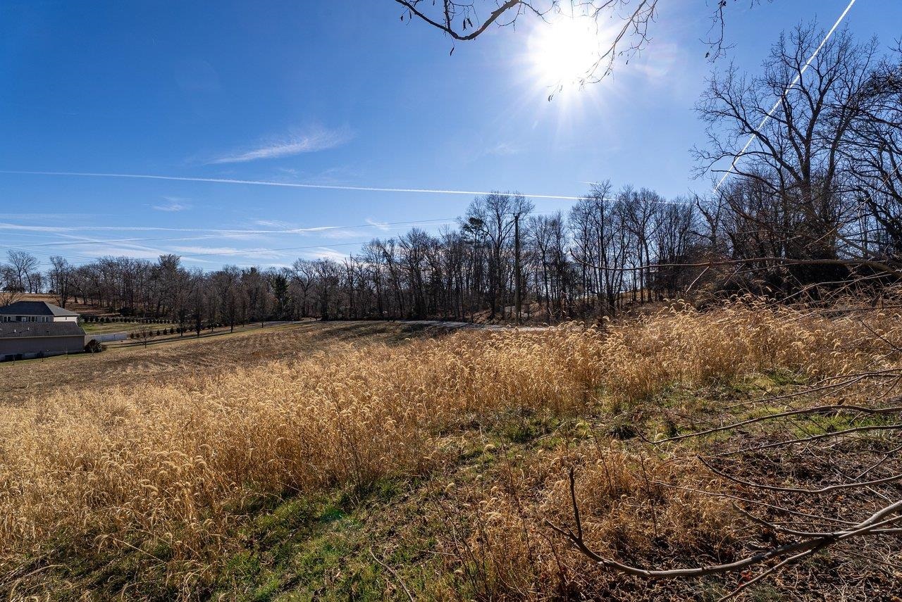 0 SUMMIT CHURCH RD, MOUNT CRAWFORD, Virginia 22841, ,Land,0 SUMMIT CHURCH RD,672835 MLS # 672835