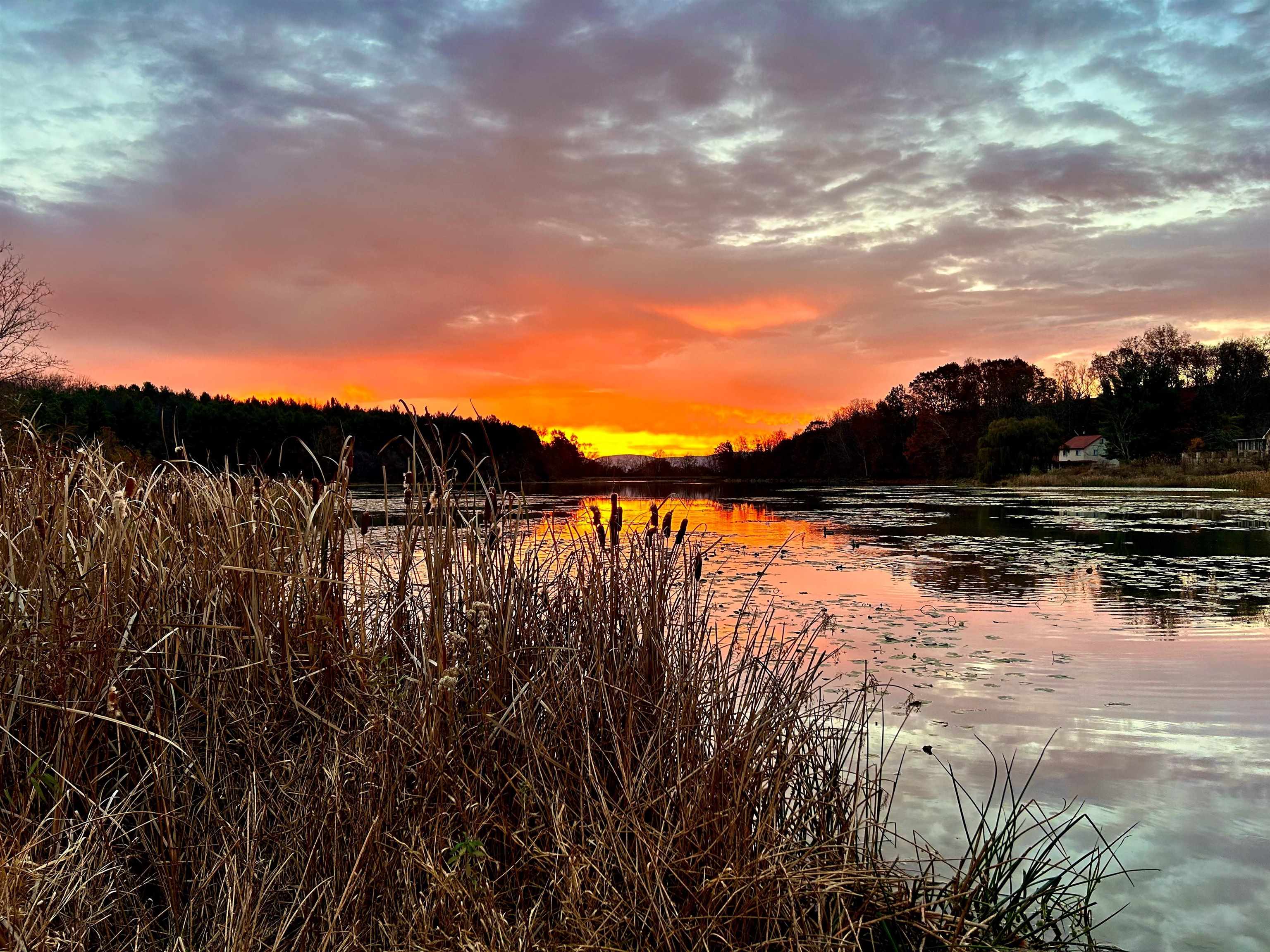 1.74 AC MASSANETTA SPRINGS RD, ROCKINGHAM, Virginia 22801, ,Land,The Observatory,1.74 AC MASSANETTA SPRINGS RD,672836 MLS # 672836 1.74 AC MASSANETTA SPRINGS RD, ROCKINGHAM, Virginia 22801, ,Land,The Observatory,1.74 AC MASSANETTA SPRINGS RD,672836 MLS # 672836