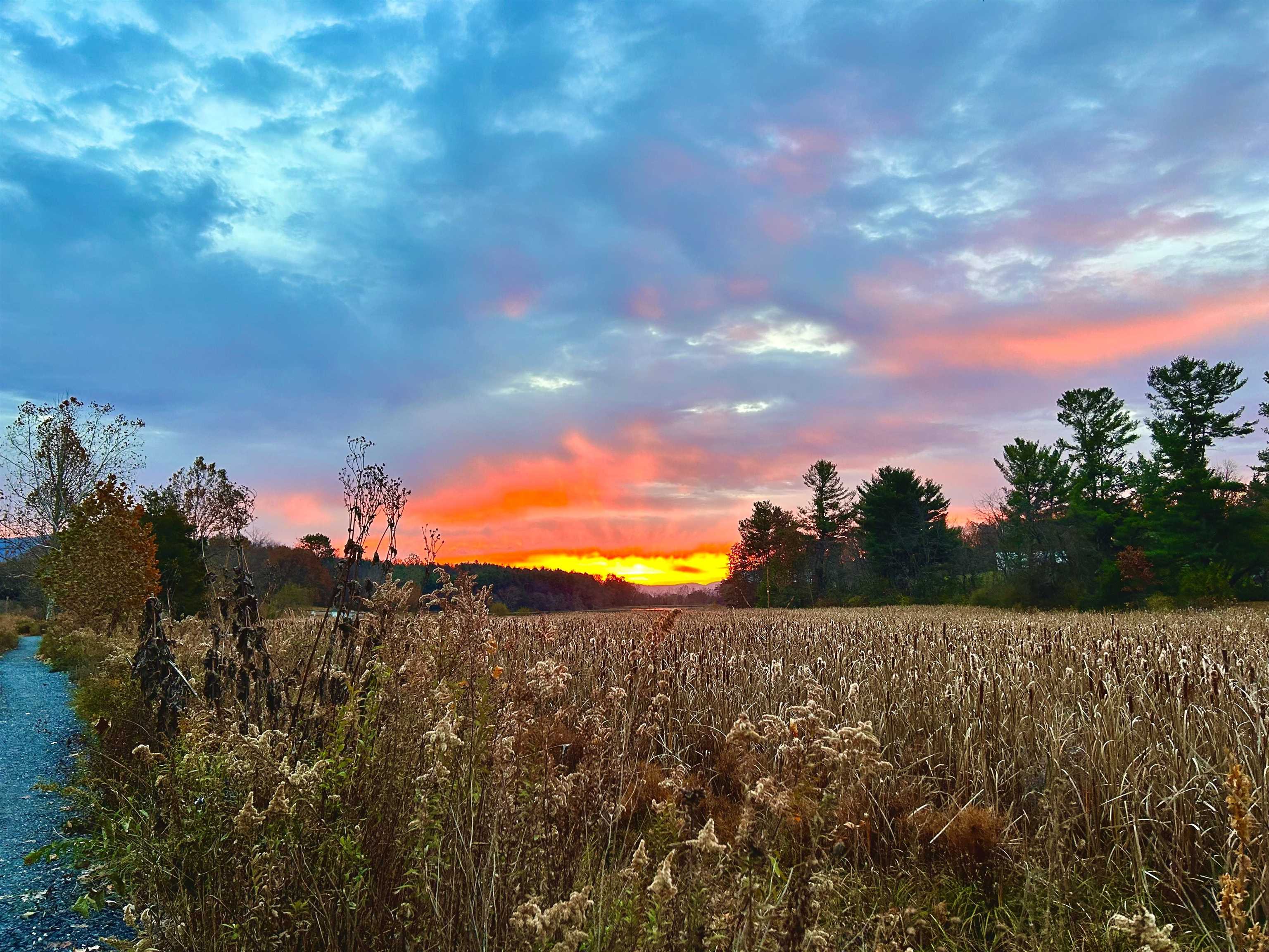 1.74 AC MASSANETTA SPRINGS RD, ROCKINGHAM, Virginia 22801, ,Land,The Observatory,1.74 AC MASSANETTA SPRINGS RD,672836 MLS # 672836 1.74 AC MASSANETTA SPRINGS RD, ROCKINGHAM, Virginia 22801, ,Land,The Observatory,1.74 AC MASSANETTA SPRINGS RD,672836 MLS # 672836