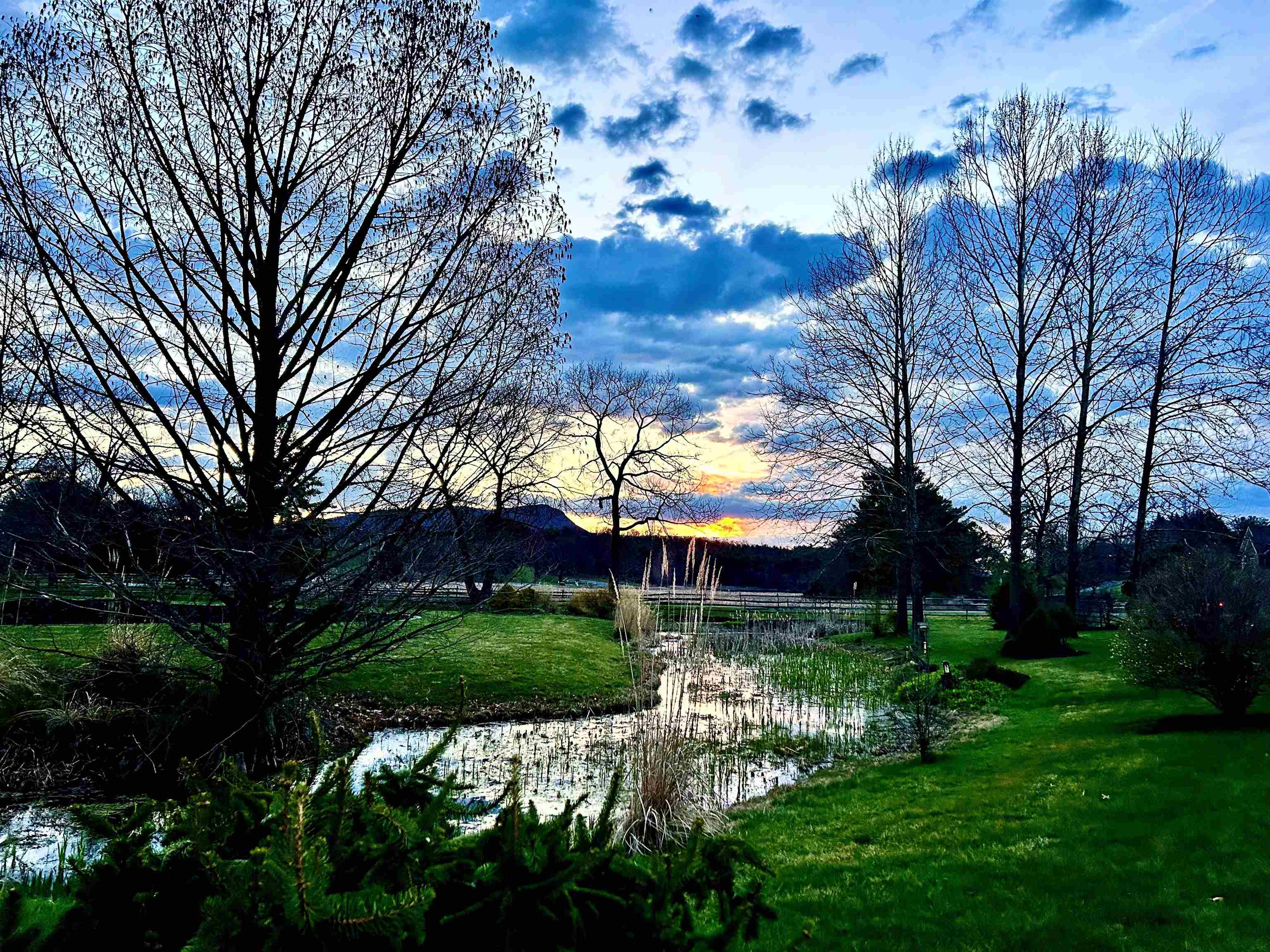 1.74 AC MASSANETTA SPRINGS RD, ROCKINGHAM, Virginia 22801, ,Land,The Observatory,1.74 AC MASSANETTA SPRINGS RD,672836 MLS # 672836 1.74 AC MASSANETTA SPRINGS RD, ROCKINGHAM, Virginia 22801, ,Land,The Observatory,1.74 AC MASSANETTA SPRINGS RD,672836 MLS # 672836