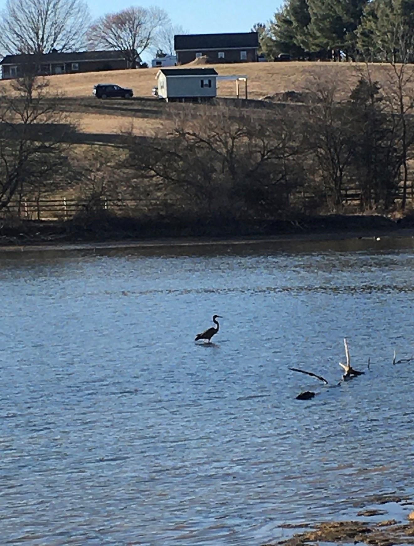 1.74 AC MASSANETTA SPRINGS RD, ROCKINGHAM, Virginia 22801, ,Land,The Observatory,1.74 AC MASSANETTA SPRINGS RD,672836 MLS # 672836 1.74 AC MASSANETTA SPRINGS RD, ROCKINGHAM, Virginia 22801, ,Land,The Observatory,1.74 AC MASSANETTA SPRINGS RD,672836 MLS # 672836