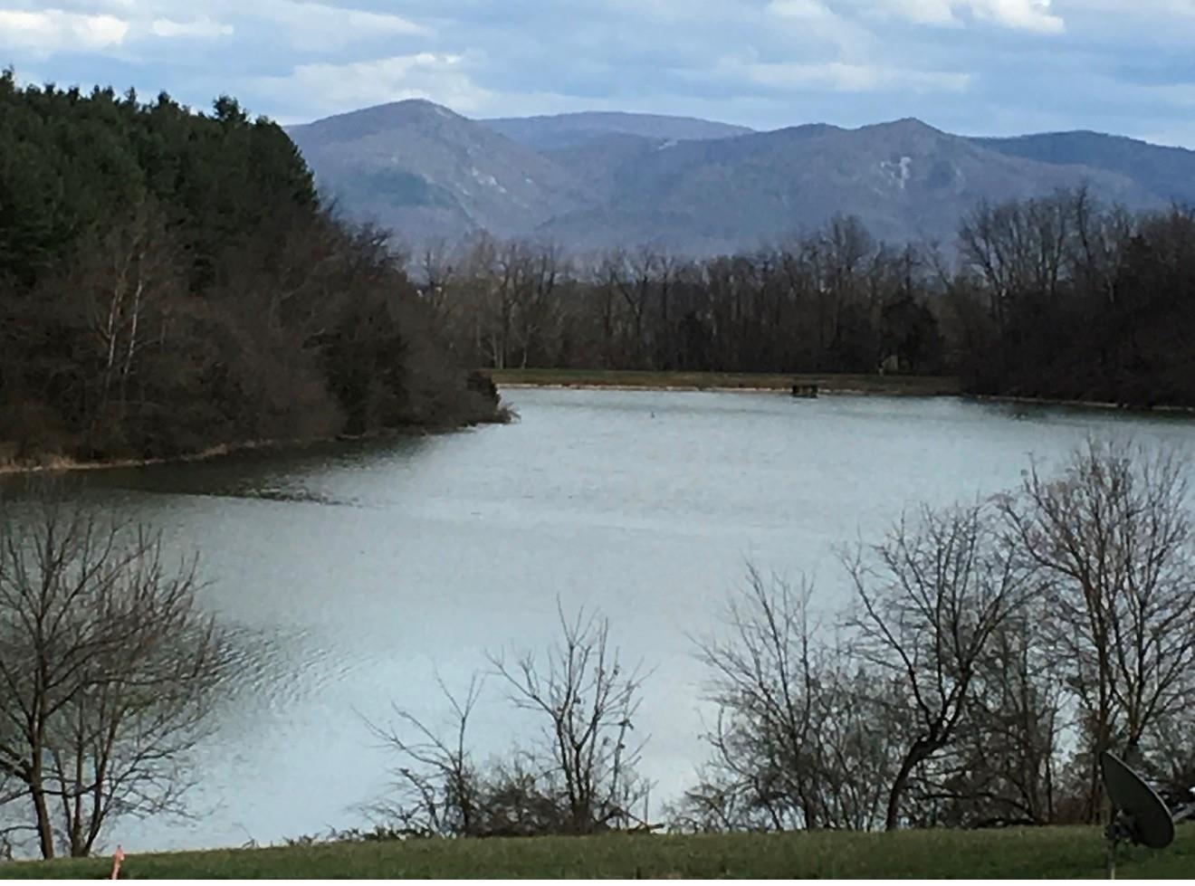 1.74 AC MASSANETTA SPRINGS RD, ROCKINGHAM, Virginia 22801, ,Land,The Observatory,1.74 AC MASSANETTA SPRINGS RD,672836 MLS # 672836 1.74 AC MASSANETTA SPRINGS RD, ROCKINGHAM, Virginia 22801, ,Land,The Observatory,1.74 AC MASSANETTA SPRINGS RD,672836 MLS # 672836