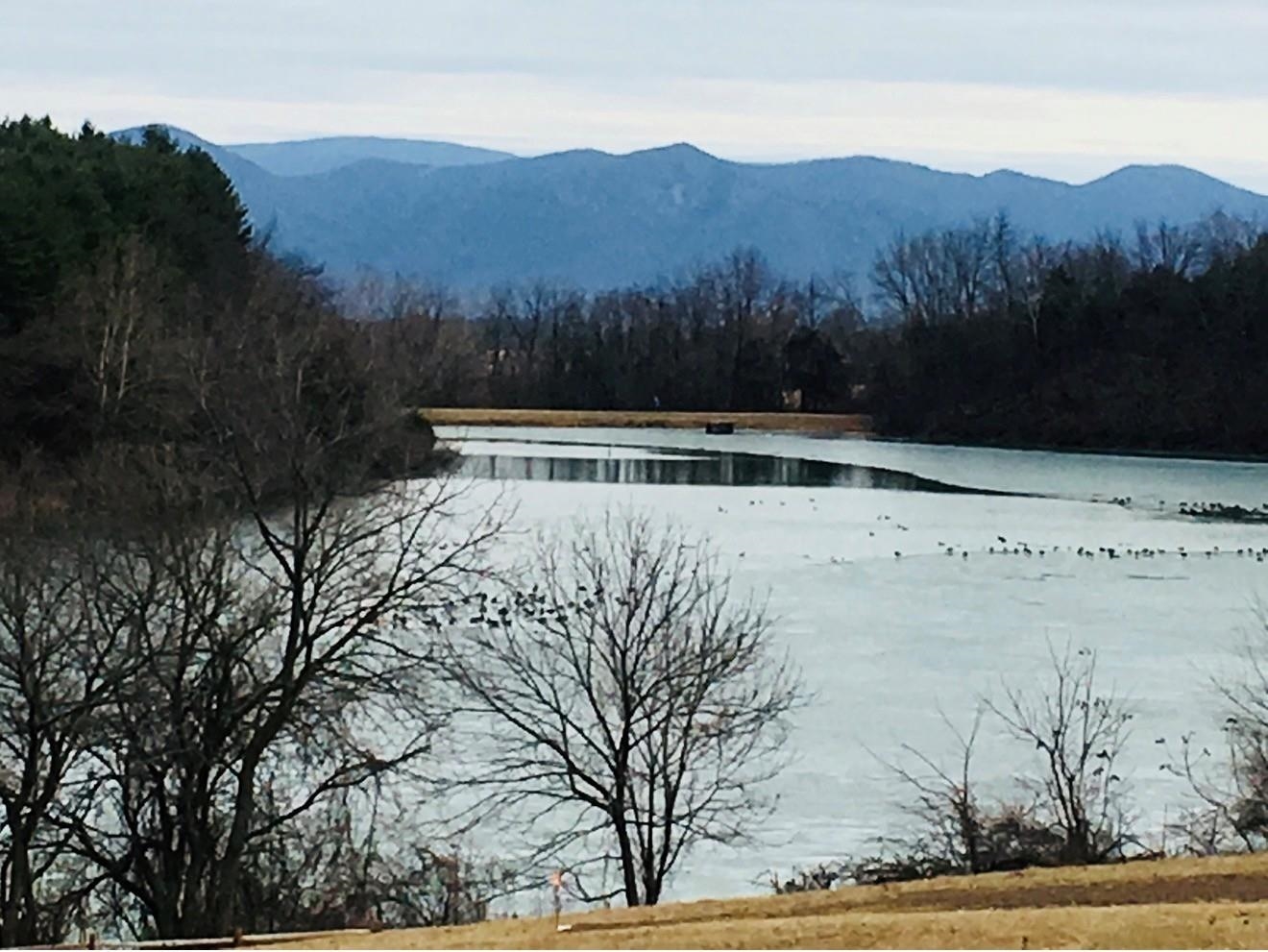 1.74 AC MASSANETTA SPRINGS RD, ROCKINGHAM, Virginia 22801, ,Land,The Observatory,1.74 AC MASSANETTA SPRINGS RD,672836 MLS # 672836 1.74 AC MASSANETTA SPRINGS RD, ROCKINGHAM, Virginia 22801, ,Land,The Observatory,1.74 AC MASSANETTA SPRINGS RD,672836 MLS # 672836