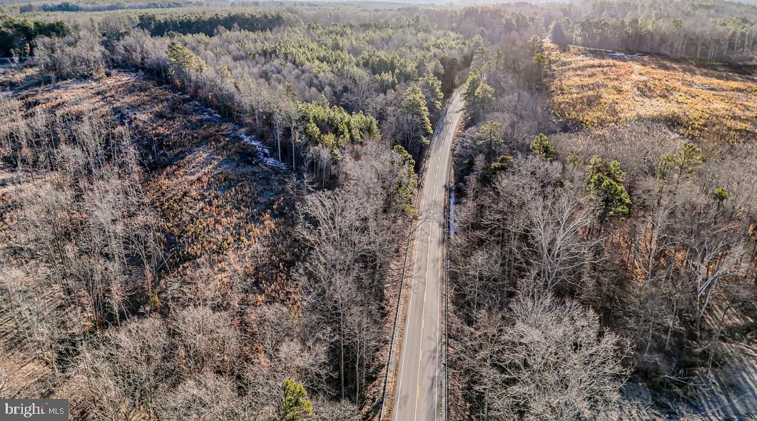 0 OLD NOTTOWAY RD, CREWE, Virginia 23930, ,Land,For sale,0 OLD NOTTOWAY RD,VANW2000062 MLS # VANW2000062