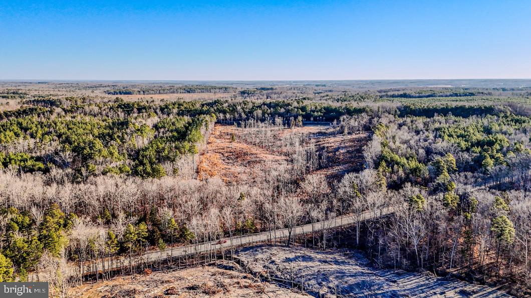 0 OLD NOTTOWAY RD, CREWE, Virginia 23930, ,Land,For sale,0 OLD NOTTOWAY RD,VANW2000062 MLS # VANW2000062