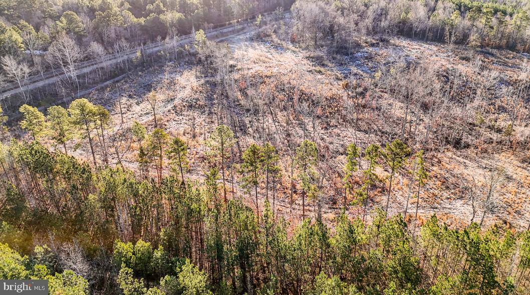 0 OLD NOTTOWAY RD, CREWE, Virginia 23930, ,Land,For sale,0 OLD NOTTOWAY RD,VANW2000062 MLS # VANW2000062