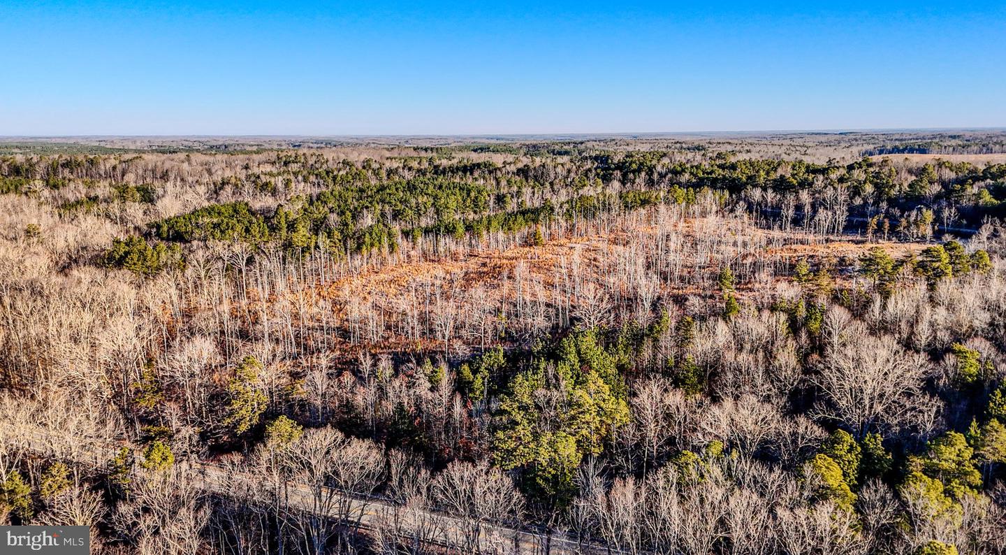 0 OLD NOTTOWAY RD, CREWE, Virginia 23930, ,Land,For sale,0 OLD NOTTOWAY RD,VANW2000062 MLS # VANW2000062