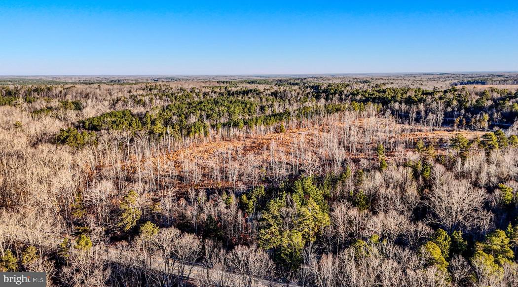 0 OLD NOTTOWAY RD, CREWE, Virginia 23930, ,Land,For sale,0 OLD NOTTOWAY RD,VANW2000062 MLS # VANW2000062