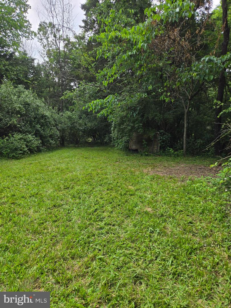 0 STAGE COACH ROAD-CHAPEL DRIVE, WOODSTOCK, Virginia 22664, ,Land,For sale,0 STAGE COACH ROAD-CHAPEL DRIVE,VASH2013460 MLS # VASH2013460 0 STAGE COACH ROAD-CHAPEL DRIVE, WOODSTOCK, Virginia 22664, ,Land,For sale,0 STAGE COACH ROAD-CHAPEL DRIVE,VASH2013460 MLS # VASH2013460