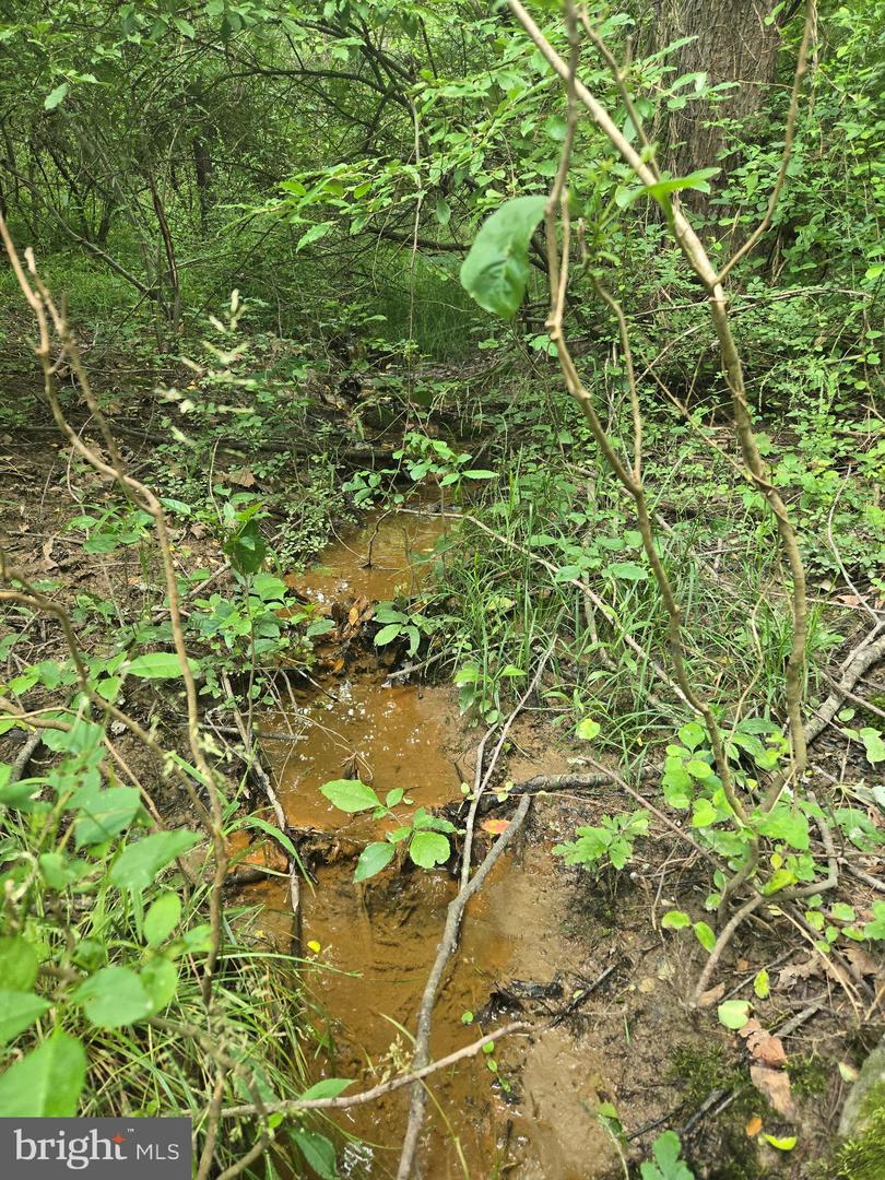 0 STAGE COACH ROAD-CHAPEL DRIVE, WOODSTOCK, Virginia 22664, ,Land,For sale,0 STAGE COACH ROAD-CHAPEL DRIVE,VASH2013460 MLS # VASH2013460 0 STAGE COACH ROAD-CHAPEL DRIVE, WOODSTOCK, Virginia 22664, ,Land,For sale,0 STAGE COACH ROAD-CHAPEL DRIVE,VASH2013460 MLS # VASH2013460