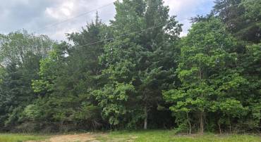 0 STAGE COACH ROAD-CHAPEL DRIVE, WOODSTOCK, Virginia 22664, ,Land,For sale,0 STAGE COACH ROAD-CHAPEL DRIVE,VASH2013460 MLS # VASH2013460