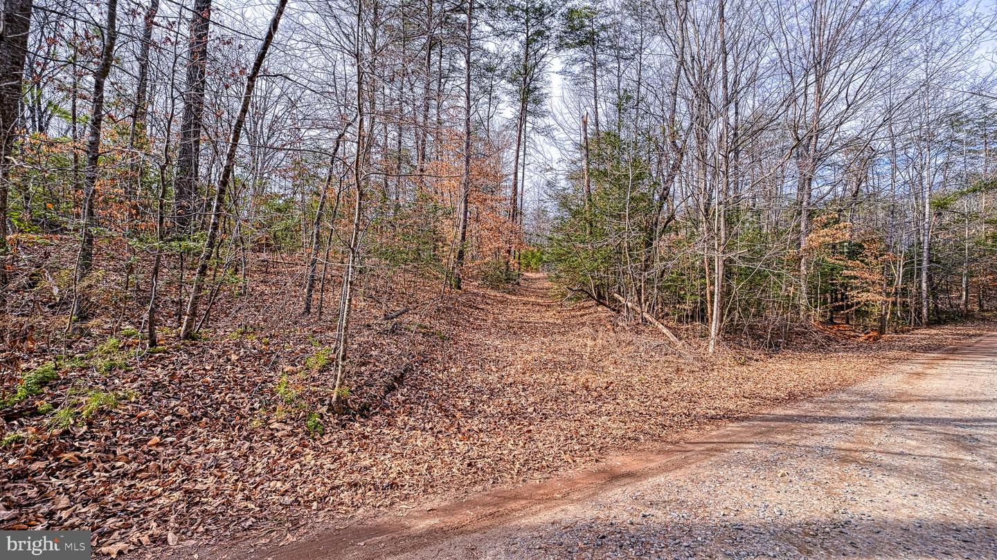 6650 HOOK CT, SPOTSYLVANIA, Virginia 22551, ,Land,For sale,6650 HOOK CT,VASP2038884 MLS # VASP2038884