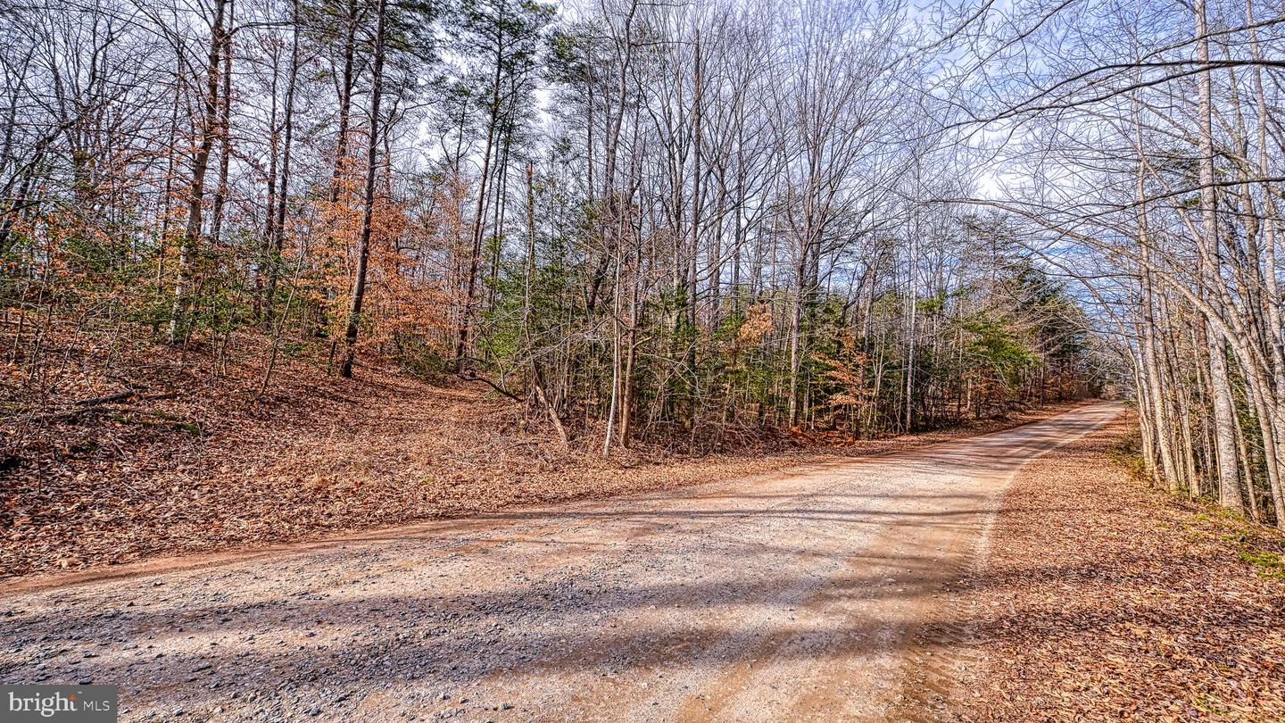 6650 HOOK CT, SPOTSYLVANIA, Virginia 22551, ,Land,For sale,6650 HOOK CT,VASP2038884 MLS # VASP2038884