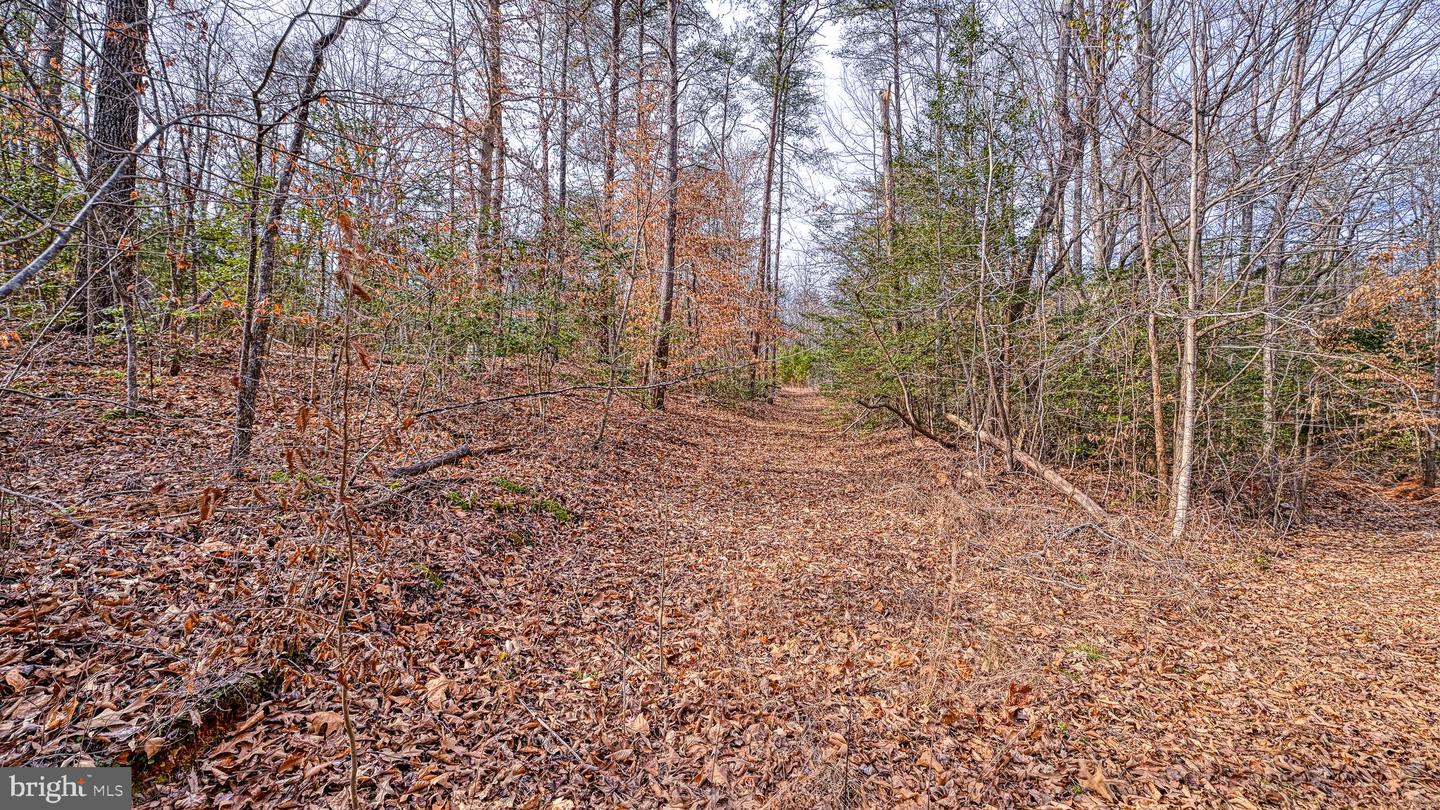 6650 HOOK CT, SPOTSYLVANIA, Virginia 22551, ,Land,For sale,6650 HOOK CT,VASP2038884 MLS # VASP2038884