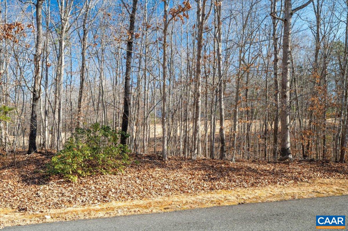 277 OAKMONT DR, GORDONSVILLE, Virginia 22942, ,Land,For sale,277 OAKMONT DR,672839 MLS # 672839